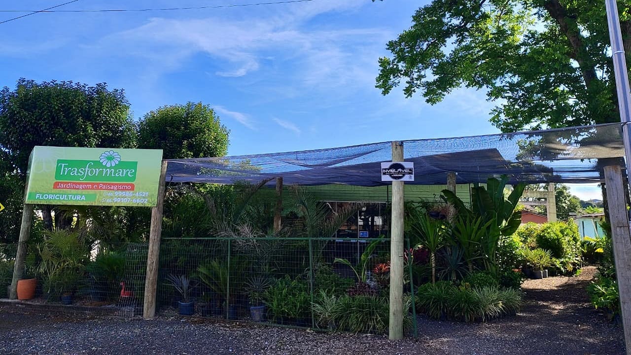 Foto trasformare-0.jpg